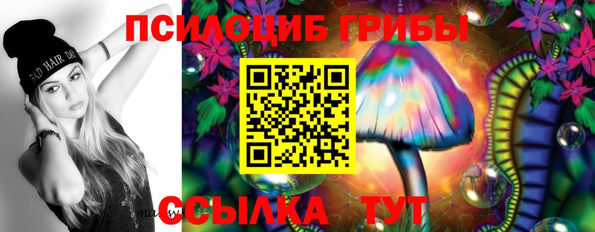 Галлюциногенные грибы мицелий  Галлюциногенные грибы Psilocybe  Вход с VPN  Ейск 