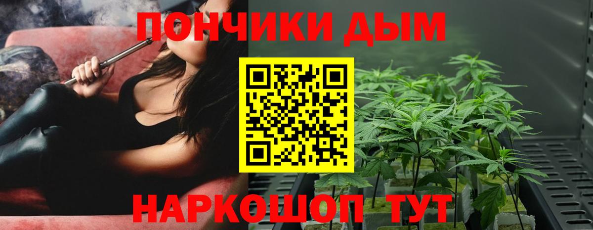 Бошки Шишки план Ейск